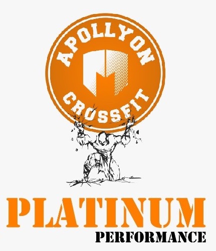 Logo Platinum Performance